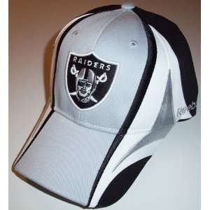   : Oakland Raiders NFL Reebok Multi Team Color Hat: Sports & Outdoors