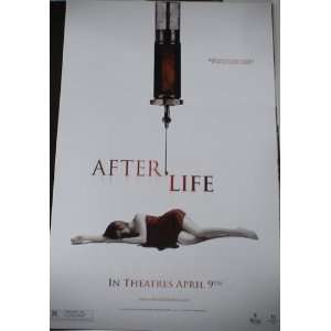  11 X 17 Mini Movie Poster : After Life: Everything Else