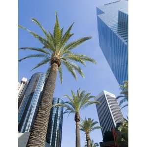 Downtown, Bonaventure Hotel in Background, Los Angeles, California 