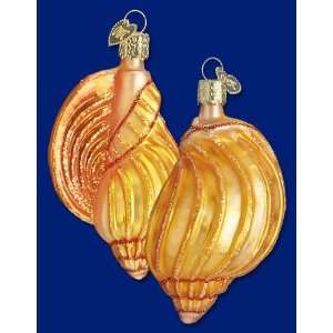  Old World Christmas Ornament Conch Shell: Home & Kitchen