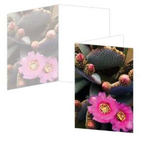 ECOeverywhere Cactus Flower Boxed Card Set, 12 Cards and Envelopes, 4 