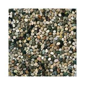  Riverstone Brenta 12 x 12 Stone Pebble Mosaic Tile: Home 