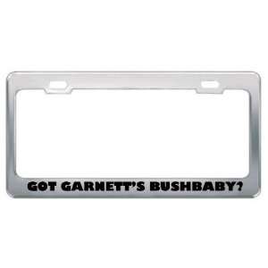 Got GarnettS Bushbaby? Animals Pets Metal License Plate Frame Holder 