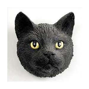  Black Cat Magnet