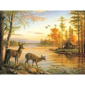    Quiet Evening 2000pc Jigsaw Puzzle by Mary Pettis Toys & Games