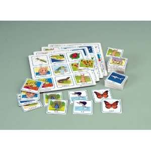  Childcraft Grade 2 Science Lotto 4 Games Set: Office 