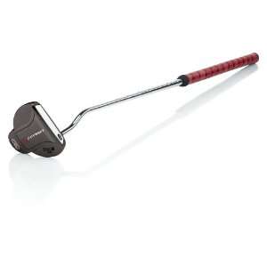  Odyssey White Ice 2Ball MID Putter
