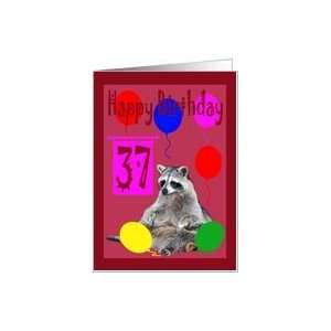  37th Birthday, Raccoon with balloons Card Toys & Games