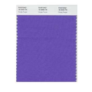  Pantone 18 3940 Nylon Brights Color Swatch Card: Home 