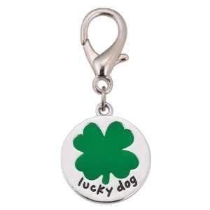  Aria Lucky Dog Charm: Pet Supplies