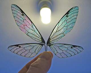Butterfly Wing Creator CD rom, ooak doll fairy wings  