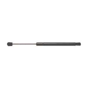  Strong Arm 4519 Trunk Lid Lift Support: Automotive