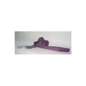    Hamilton Dog Leash Purple 1in X 4 Feet   B SLO 4PM: Pet Supplies