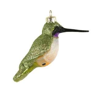  Black Chinned Hummingbird Christmas Ornament: Everything 