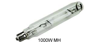 1000 Watts (MH) Metal Halide Bulb