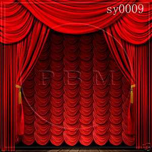 INDOOR 10x10 CP SCENIC PHOTO BACKGROUND BACKDROP SY009  