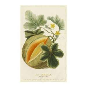  Jean Aubry   Melo Vulgaris Giclee