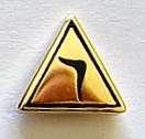 Masonic Scottish Rite 14th Degree Lapel Pin  