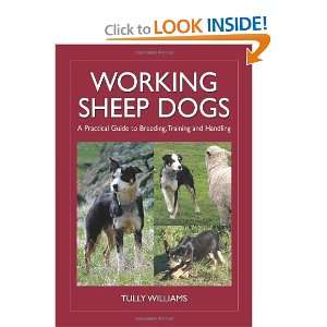 Working Sheep Dogs: A Practical Guide to Breeding 