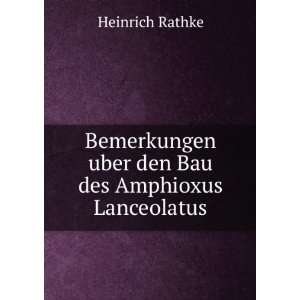   uber den Bau des Amphioxus Lanceolatus.: Heinrich Rathke: Books