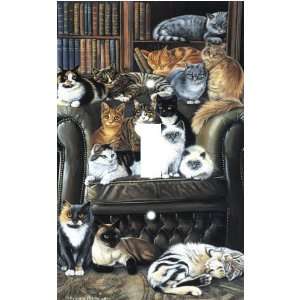  Cat Couch Decorative Switchplate Cover: Home Improvement