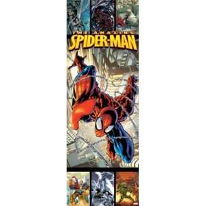  The Amazing Spider Man Door Poster: Home & Kitchen