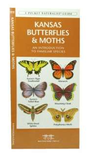 Kansas Butterflies and Moths An Introduction to Familiar Species