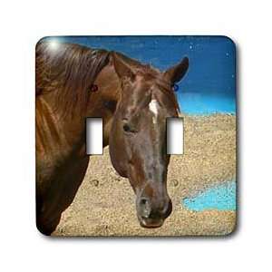  Horse   Quarter Horse   Light Switch Covers   double 