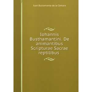   Scripturae Sacrae reptilibus . Juan Bustamante de la CÃ¡mara Books