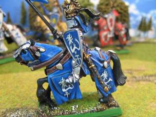 DPS painted Bretonnian Knights of the Realm BR018  