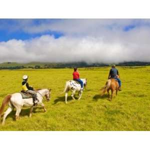  Horseback Riding at Parker Ranch, the Big Island, Hawaii 