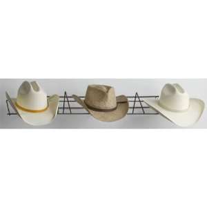    Horizon Manufacturing 5906 Cowboy Hat Rack: Office Products