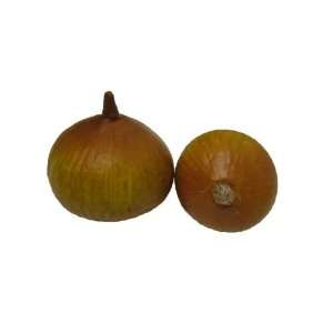  Artificial Natural Onion, Box of 12 