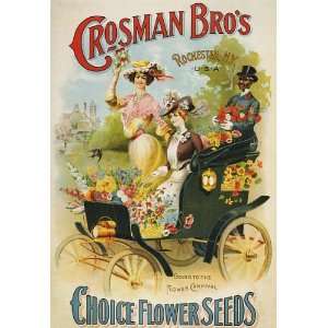 CHOICE CARNIVAL FLOWER SEEDS GIRLS CROSMAN BROS ROCHESTER NEW YORK 