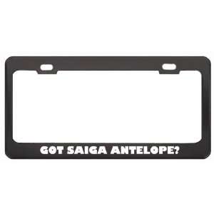  Got Saiga Antelope? Animals Pets Black Metal License Plate 