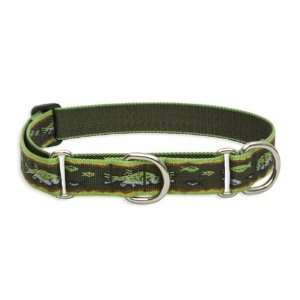  1 Brook Trout 15 22 Combo Collar