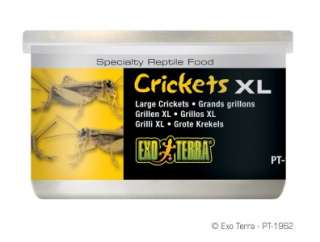 Exo Terra Reptile X Large Crickets Canned Food 1.2oz  