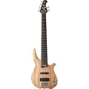  Washburn CB16 with Hardshell Case   Spalted Maple 6 string Electric 