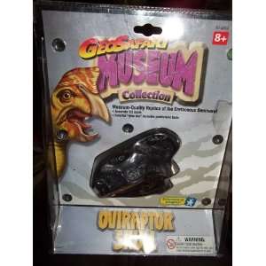   Geo Safari Oviraptor Skull Museum Quality Collection Toys & Games