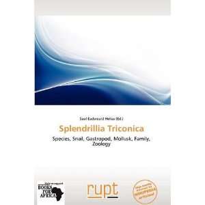    Splendrillia Triconica (9786138589365) Saul Eadweard Helias Books