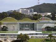   ROOF:THE NEW CALIFORNIA ACADEMY OF SCIENCES (DVD) 400004781125  