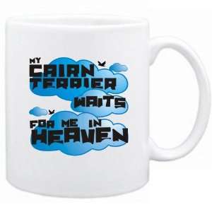    My Cairn Terrier Waits For Me In Heaven  Mug Dog: Home & Kitchen