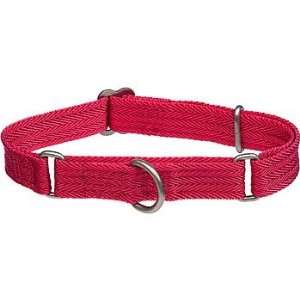  Petco Red Martingale Dog Collar: Pet Supplies