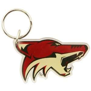    NHL Phoenix Coyotes High Definition Keychain: Sports & Outdoors