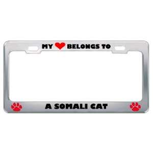 My Heart Belongs To A Somali Cat Animals Pets Metal License Plate 