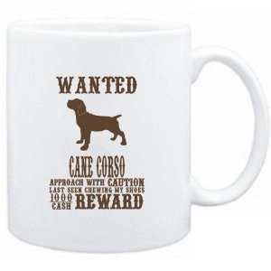    Wanted Cane Corso   $1000 Cash Reward  Dogs