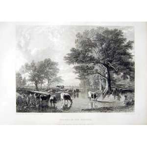   1866 ART JOURNAL MEADOWS COWS TREES RIVER COUSEN LEE