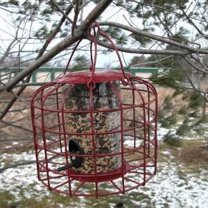  SQUIRREL RESISTANT BIRD FEEDER   MADE OF IRON WITH PLASTIC FOOD 