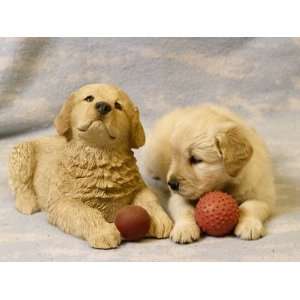  Labrador Retriever Puppies Playing with Toys Photographic 