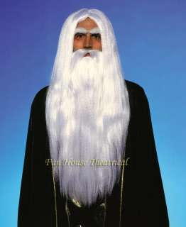 Merlin Wizard Wig and Beard Set Sorcerer Warlock 55590  